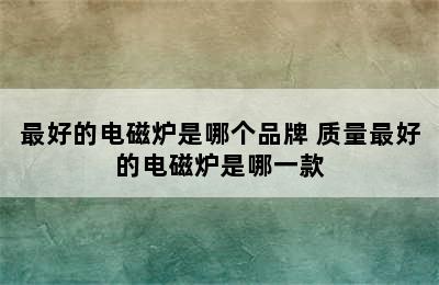 最好的电磁炉是哪个品牌 质量最好的电磁炉是哪一款